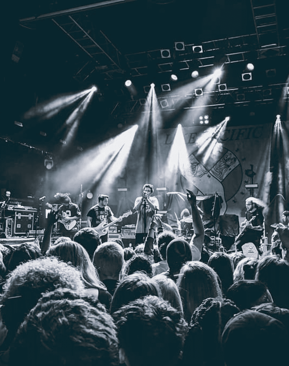 Concerts & Live Shows